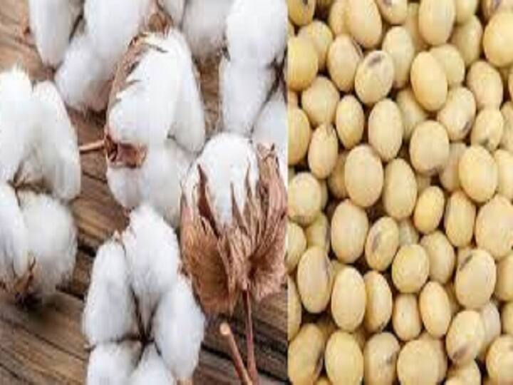 Maharashtra Budget 2022 Finance minister Ajit Pawar announces 1 thousand crore fund to increase the productivity of soybean and cotton growers in Vidarbha and Marathwada Maharashtra Budget 2022 : सोयाबीन आणि कापूस उत्पादकता वाढवण्यासाठी एक हजार कोटींचा निधी, विदर्भ आणि मराठवाड्यातील शेतकऱ्यांसाठी मोठी घोषणा