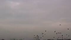 Climate Change: রাজ্যে বাড়তে পারে প্রবল শক্তিশালী ঘূর্ণিঝড়ের সংখ্যা, রাষ্ট্রপুঞ্জে জমা পড়া রিপোর্টে আশঙ্কা।Bangla News