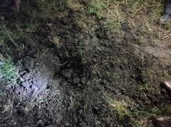 संतापजनक! एक वर्षाच्या चिमुकलीला जीवंत पुरलं... निर्दयी बापाचं कृत्य, भांडण लेकराच्या जीवावर..