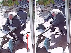 Snake in Garden - వీడియో: కాళ్ల మధ్యలోకి పా పా పాము, గార్డెన్‌లో పని చేసుకుంటుంటే ఇలా అల్లరి చేసింది