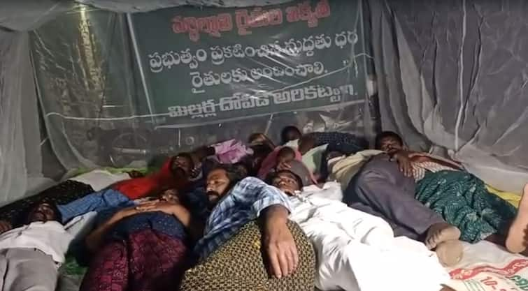 Nellore Farmers Agitation: Nellore Farmers midnight protest at Kovuru Nellore Farmers Agitation: అన్నదాతలకు కడుపు మండింది - ఏం చేశారో చూడండి