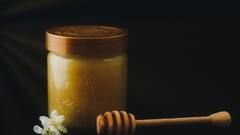 Honey Purity Test: মধুর নামে বাজার থেকে বিষ কিনছেন না তো? খাওয়ার আগে যাচাই করে নিন শুদ্ধতা