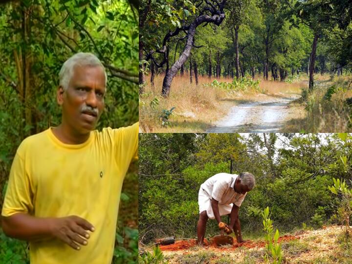 In Boothore village the dry tropical forest created by one of the 100 acres of land 100 ஏக்கர் நிலம்.. 25 ஆண்டுகள் உழைப்பு.. கட்டாந்தரையை காடாக்கிய தனி ஒருவர்!