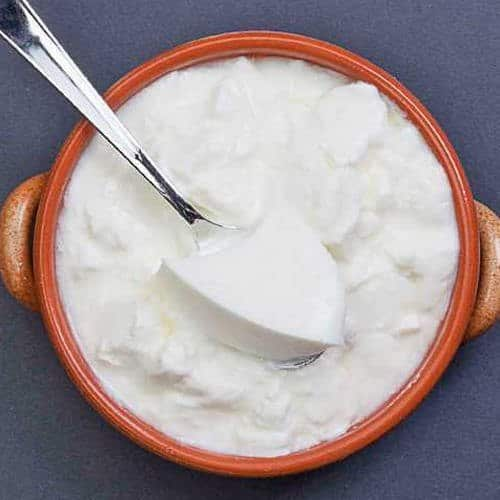 Curd for weight loss curd gives way to decrease losing weight know Curd For Weight Loss: દહીં પાચન સુધારવાની સાથે કોલેસ્ટ્રોલને પણ કરે છે નિયંત્રિત, જાણો ખાવાની યોગ્ય રીત