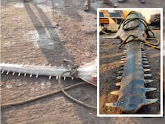 Carpenter Shark - వీడియో: వామ్మో, రంపం చేప - దీని నోరే చాలా తేడా, కర్ణాటక జాలర్లకు చిక్కిన ‘సా ఫిష్’