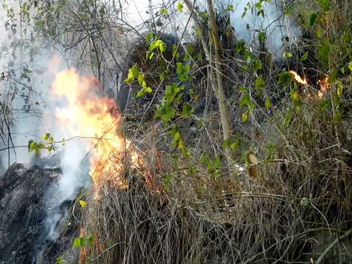 கொடைக்கானலில் காட்டுத்தீ - 500 ஏக்கரில் பரப்பளவில் அரியவகை மரங்கள் தீயில் கருகி சேதம்