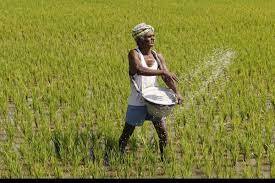 Forest Officers Attack On Farmer: కందకం తవ్వకాలు వద్దన్నారని రైతును కొట్టారు | Gangaram | ABP Desam