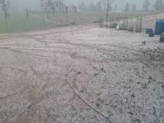 अवकाळी पावसाचा पिकांवर मोठा परिणाम