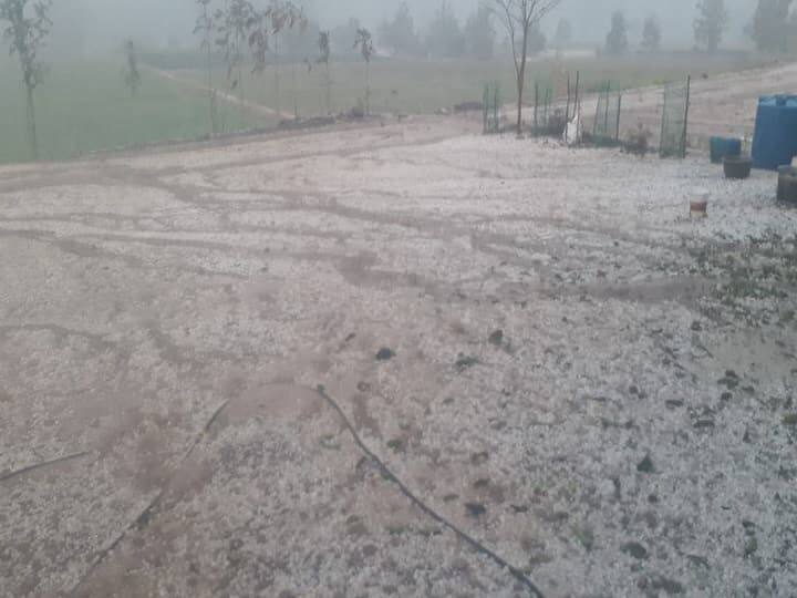 राज्यातील अनेक भागात अवकाळी आणि गारापीट