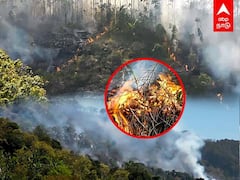 பற்றி எரியும் கொடைக்கானல்.. புகை மண்டலமான காடுகள்