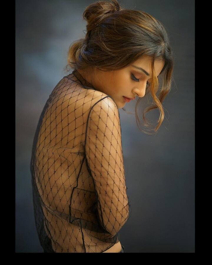 తన హాట్నెస్ తో ప్రేక్షకులను ఫిదా చేసింది.(Photo Courtesy: Payal Rajput Instagram)