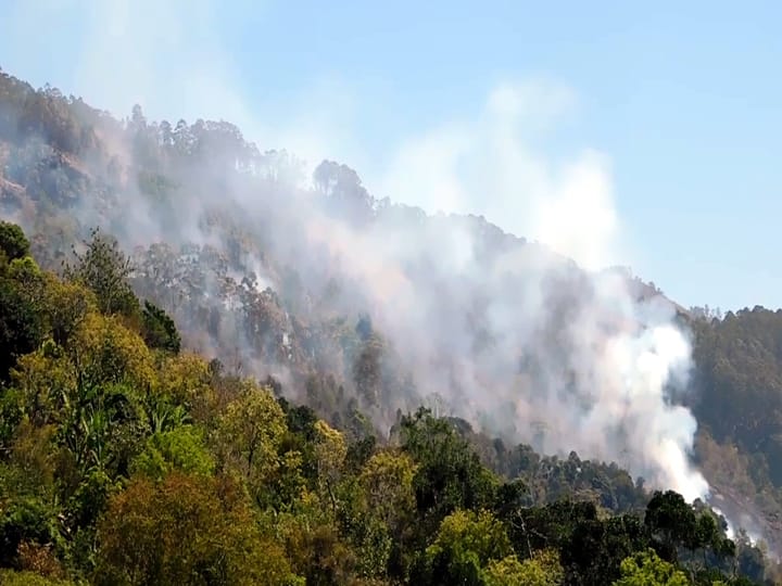 Dindigul: Wildfire in Kodaikanal - Rare trees on 500 acres burnt and damaged by fire கொடைக்கானலில் காட்டுத்தீ - 500 ஏக்கரில் பரப்பளவில் அரியவகை மரங்கள் தீயில் கருகி சேதம்