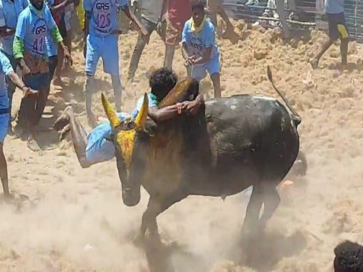 ஜல்லிக்கட்டு போட்டிக்கான நன்கொடை வழங்கலாம்  - மதுரை ஆட்சியர்  அறிவிப்பு