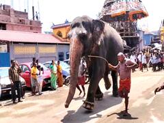 மயிலாடுதுறை வைத்தீஸ்வரன்கோயிலில் நடைபெற்ற நரி ஓட்ட வைபவம் - திரளான பக்தர்கள் சுவாமி தரிசனம்