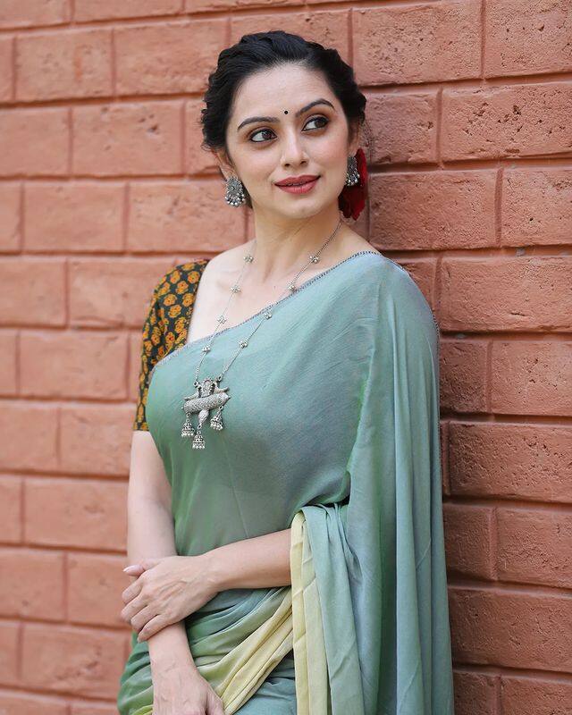 नुकतेच श्रुतीने साडीमध्ये काही फोटो शेअर केले आहेत.  (PHOTO:/shrumarathe/IG)