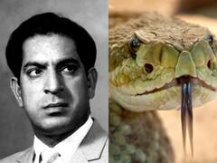 फिल्म 'फूल और पत्थर' के डायरेक्टर को काटने के बाद हो गई थी सांप की मौत, जानिए कौन है ये शख्स