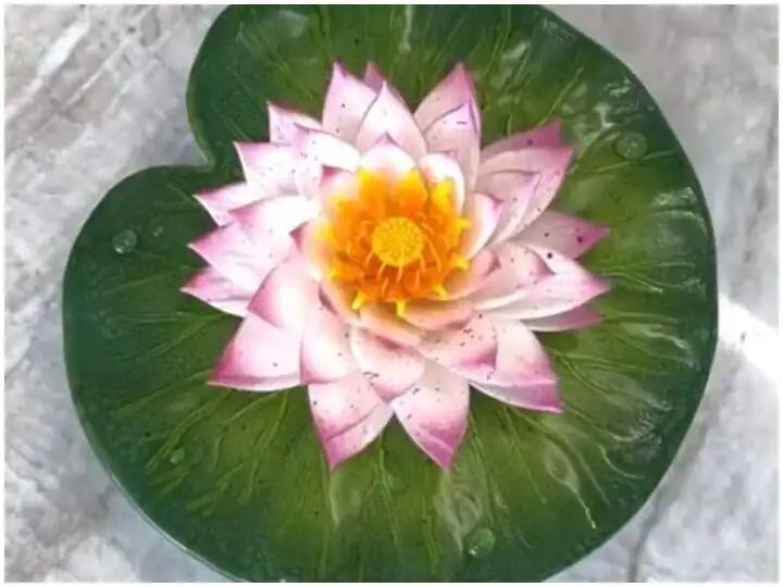 Viral Video food artist showed flair on cake made desert like a real flower Viral Video : फूड आर्टिस्टने केले सर्वांनाच थक्क, चक्क खऱ्या फुलासारखाच बनवला केक, पाहा हा व्हिडीओ