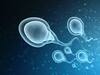 Male fertility: మగవారికి ఈ అయిదు అలవాట్లు ఉంటే ఆ పవర్ తగ్గిపోతుంది, వదిలించుకుంటే మేలు