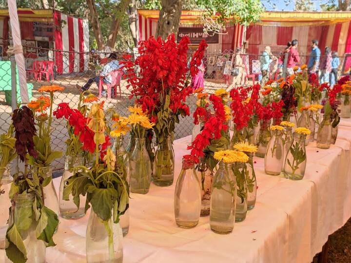 Chhattisgarh Durg Bhilai Maitri Bagh Zoo Flower Show open after two year due to corona period ann Durg Maitri Bagh Zoo: दो साल बाद रंग और खुशबू से महक उठा मैत्री बाग, सैलानियों ने इस खास प्रदर्शनी के बीच किया इंजॉय