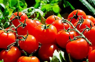 Health News : टोमॅटो खाण्याचे 'हे' फायदे तुम्हाला माहिती  नसतील, एकदा जाणून घ्या