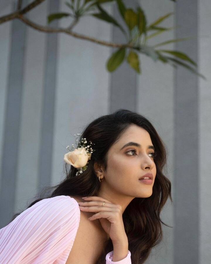 గ్లామరస్ ఫోటోషూట్ లకు ఓకే చెబుతోంది. ఆ ఫోటోలను ఇన్ స్టాలో పోస్టు చేస్తూ అభిమానులను అలరిస్తోంది. -Image credit: PriyankaMohan/Instagram