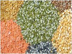 आप भी हैं ज्यादा दाल खाने के शौकीन? तो सेहत को हो सकते हैं ये नुकसान