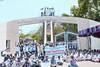Tirupati SV University Veterinary Doctors Protest: సమస్యల పరిష్కారం కోసం ఆందోళన బాట | ABP Desam