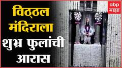 Pandharpur : विठ्ठल मंदिराला शुभ्र फुलांची आरास,आमलकी एकादशीनिमित्त पंढरपुरात उत्साह
