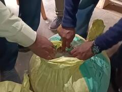 Gorakhpur News: होली से पहले गोरखपुर में बड़ी मात्रा में मिलवाटी मावा जब्त, खाद्य विभाग की टीम ने की कार्रवाई