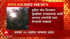 Weather Update : पुढील 2 दिवसात मुंबईसह राज्यातल्या काही भागात उष्णतेची लाट येण्याची शक्यता