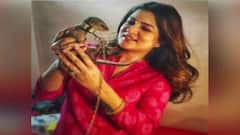 Srabanti Chatterjee: বেজিকাণ্ডে অভিনেত্রী শ্রাবন্তীকে ফের জিজ্ঞাসাবাদ করল ওয়াইল্ড লাইফ ক্রাইম কন্ট্রোল সেল | Bangla News