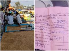 Russia Ukraine War: रूस- यूक्रेन की जंग ने भारत के गेहूं की बढ़ाई मांग, जानिए कितने रुपये तक बढ़ा भाव