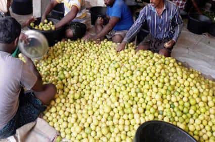 Gujarat connection of rising lemon prices the price reached Rs 300 to 350 per kg ann नींबू की बढ़ती कीमतों का गुजरात कनेक्शन, 300 से 350 रुपए प्रति किलो तक पहुंचा दाम