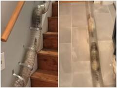 पालतू जानवरों के लिए शख्स ने घर में बना डाली ऐसे 'सुरंग', मस्ती करते नजर आए पैट्स