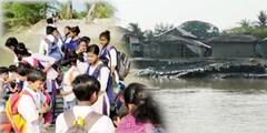 South 24 Parganas News: বিপদের ঝুঁকি নিয়েই স্কুলে যাতায়াত, জেটির অভাবে দুর্ভোগ গোসাবায়