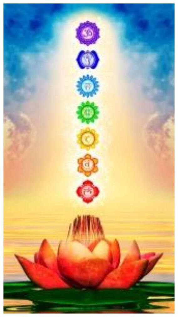 శరీరంలో ఈ ఏడు చక్రాలు చాలా కీలకం