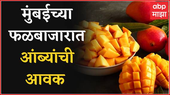 Navi Mumbai Mango Import Increased : नवी मुंबईच्या एपीएमसी फळ बाजारात आंब्यांची आवक वाढली