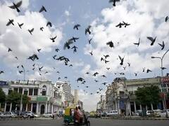 Delhi-NCR Weather Forecast: दिल्ली में दर्ज हुआ इस सीजन का सबसे ज्यादा तापमान, हवा हुई खराब, जानें- आज कैसा रहेगा मौसम