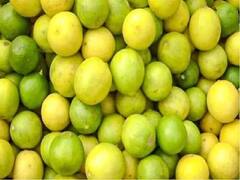 Nellore Lemon Market: అనూహ్యంగా పెరిగిన ధర.. నిమ్మ రైతుల్లో సంతోషం.. 
