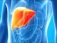 Health Tips : यकृताचा संसर्ग झाला की 'ही' लक्षणं दिसतात; वेळीच सावध व्हा, अन्यथा...