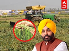 Punjab AAP CM Bhagwant Mann | AAP முதல்வர் பதவியேற்பு...அழிக்கப்பட்ட 40 ஏக்கர் விவசாய நிலம்..