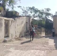 ਪੈਟਰੋਲ-ਡੀਜ਼ਲ ਹੋਇਆ ਮਹਿੰਗਾ ਤਾਂ ਇਸ ਸ਼ਖ਼ਸ ਨੇ ਸ਼ੁਰੂ ਕੀਤੀ ਘੋੜੀ ਦੀ ਸਵਾਰੀ, ਚਰਚਾ 'ਚ ਇਹ ਤਸਵੀਰਾਂ