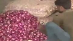 Will inflation affect common man's Holi celebration? | Ghanti Bajao