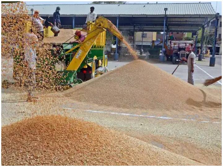 Russia Ukraine War: रूस यूक्रेन की जंग का भारत पर पड़ा असर, गेहूं का भाव बढ़ने से थाली हुई महंगी Russia Ukraine War price of wheat increased up to 8-10 Rupees in Jodhpur ANN Russia Ukraine War: रूस यूक्रेन की जंग का भारत पर पड़ा असर, गेहूं का भाव बढ़ने से थाली हुई महंगी