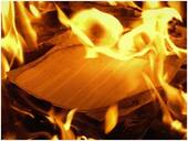 भाजप पुन्हा सत्तेत, त्यामुळे आता नोकरी मिळण्याची शक्यता नाही; उत्तर प्रदेशमधील युवकाकडून शैक्षणिक सर्टिफिकेटची होळी