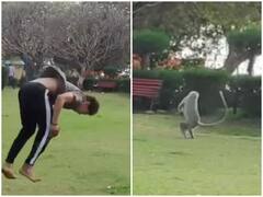 पार्क में शख्स को हवा में बैक फ्लिप लगाते देख बंदर ने उतारी नकल, एक के बाद एक गुलाटी मारते दिखा
