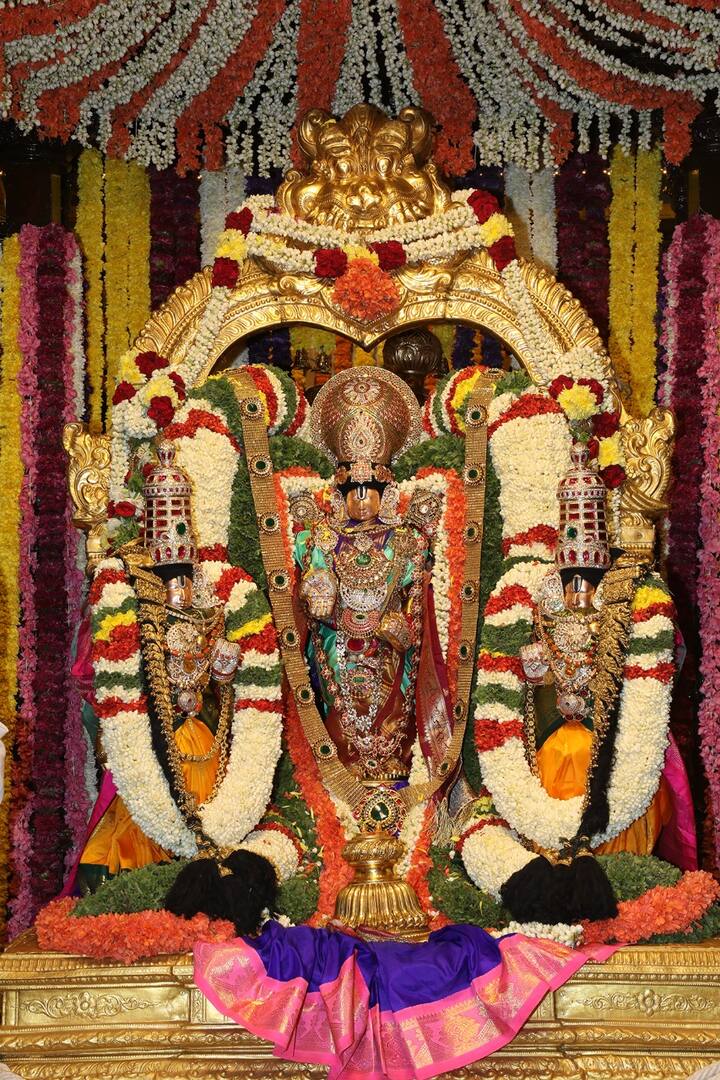 శ్రీదేవి, భూదేవి సమేత శ్రీ మలయప్ప స్వామి నాలుగో రోజు ఐదు చుట్లు, చివరి రోజు ఏడు చుట్లు తెప్పపై విహరించి భక్తులను అనుగ్రహించనున్నారు.
