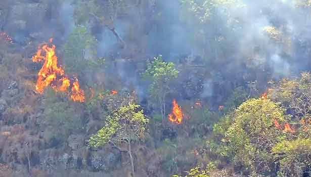 கொடைக்கானல் காட்டில் சில தினங்களாக எரிந்து வந்த காட்டுத்தீ முற்றிலுமாக அணைப்பு