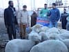 Jammu-Kashmir News: अनंतनाग में आदिवासी युवाओं को मुफ्त में दी गई भेड़, पालन को बढ़ावा देने के लिए उठाए गए हैं कई कदम