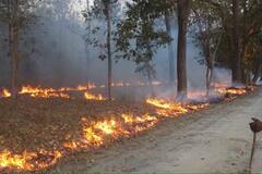 Fire Accident In Anantapur Penukonda Forest: వందల ఎకరాలు కాలి బూడిదయ్యాయి | ABP Desam